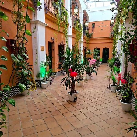 Alojamiento Rural Flamingo Guest House El Rocio Exterior photo